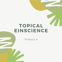 5-Day Topical Einscience